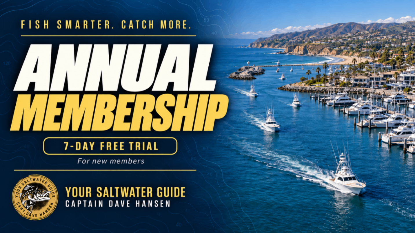 Annual (Get 2-Months Free)