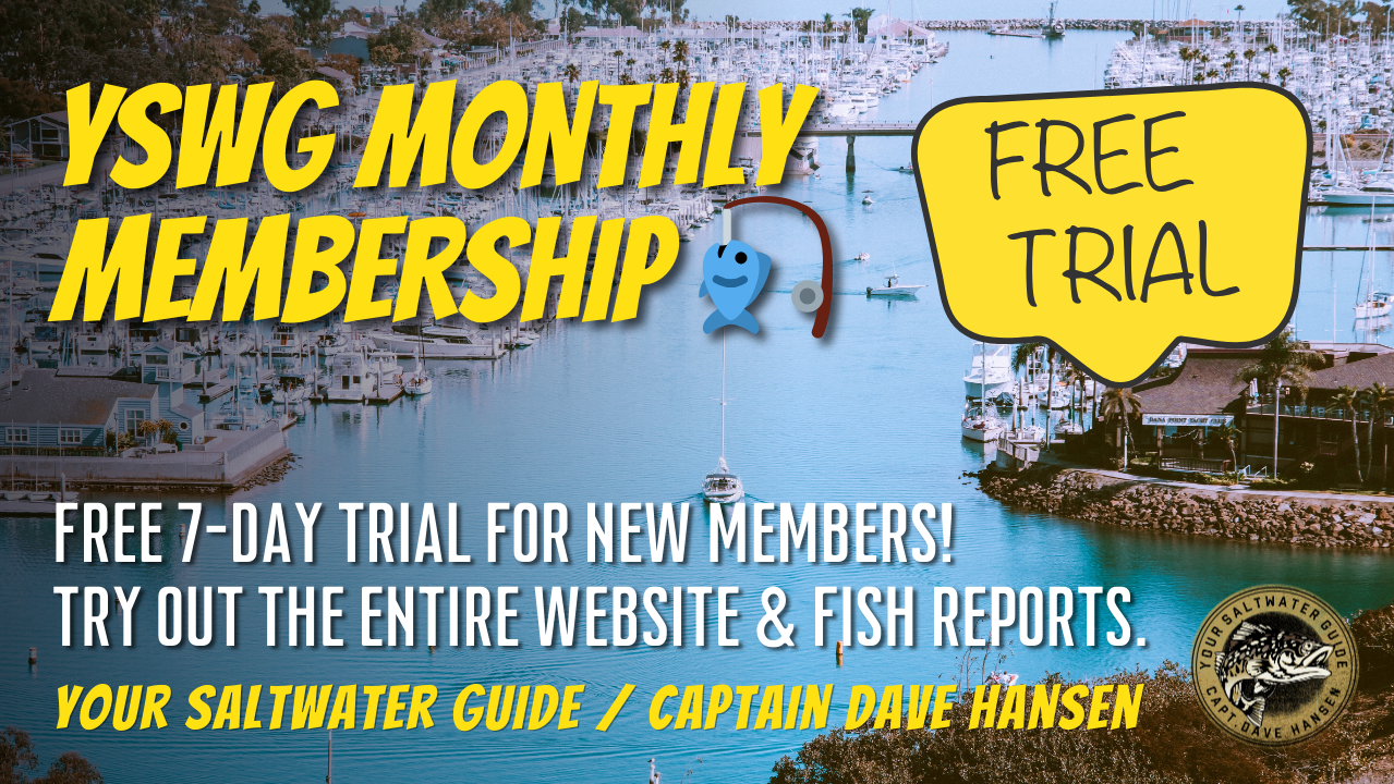 YSWG Monthly Membership 🎣
