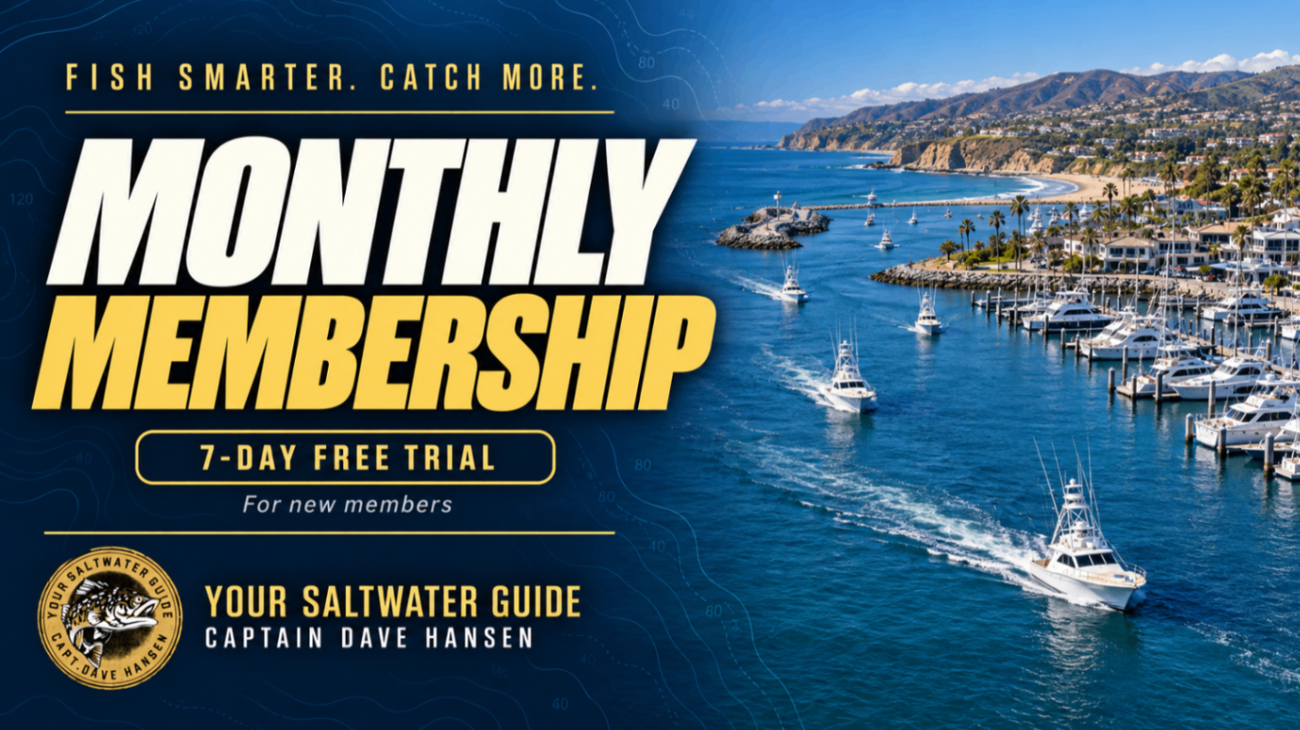 Monthly (Start Your 7-Day Free Trial)