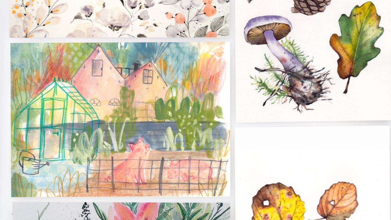 Artist's Nature Toolkit