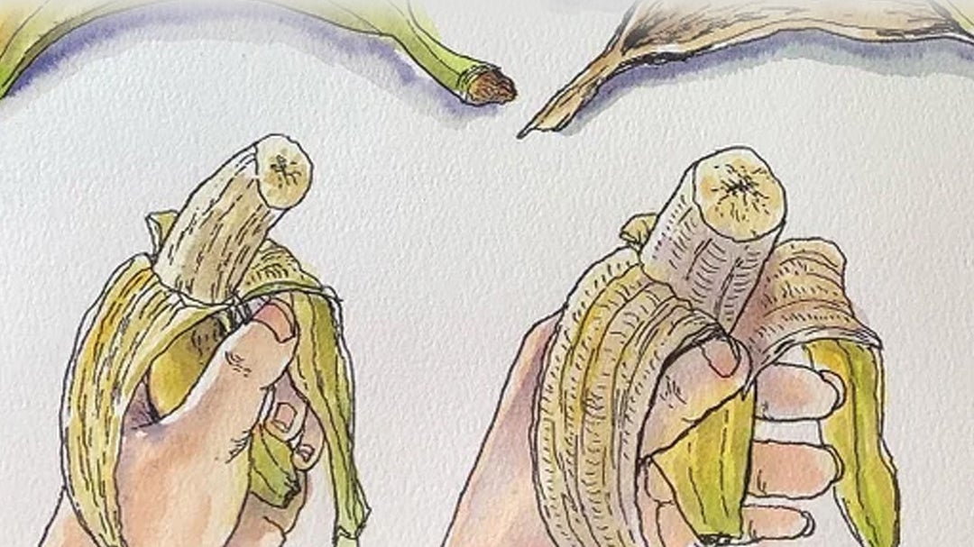 Three Stages of Eating a Fruit with Ink and Wash