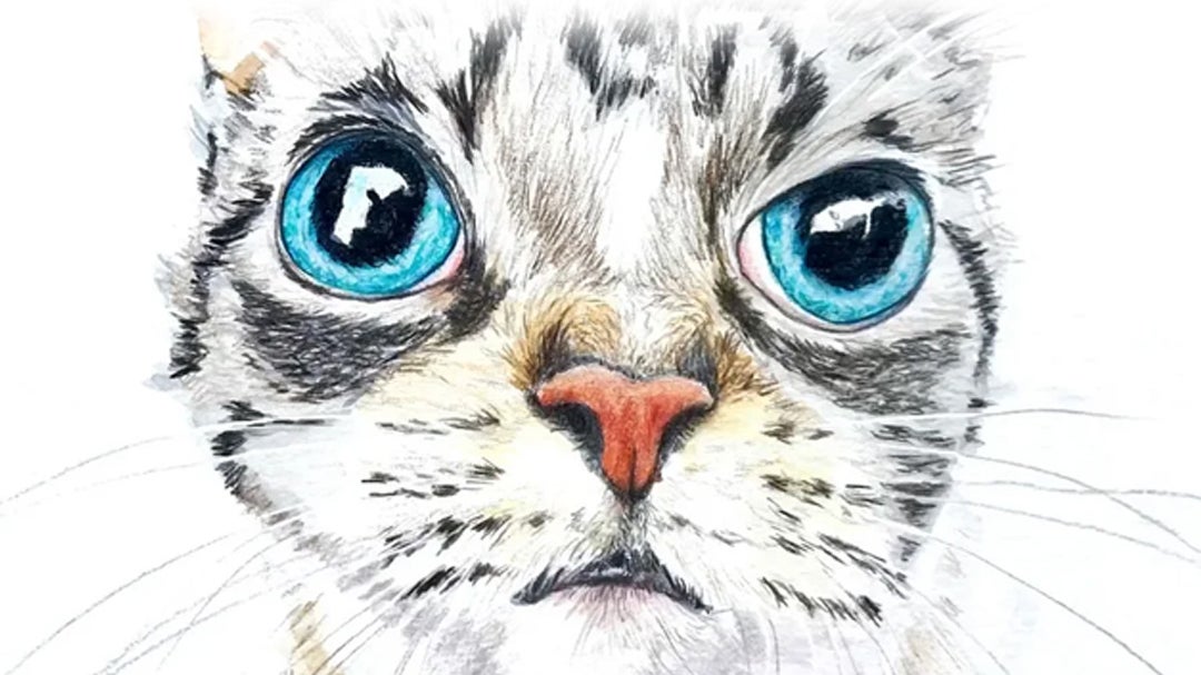 Playful Pets in Watercolour and Coloured Pencils