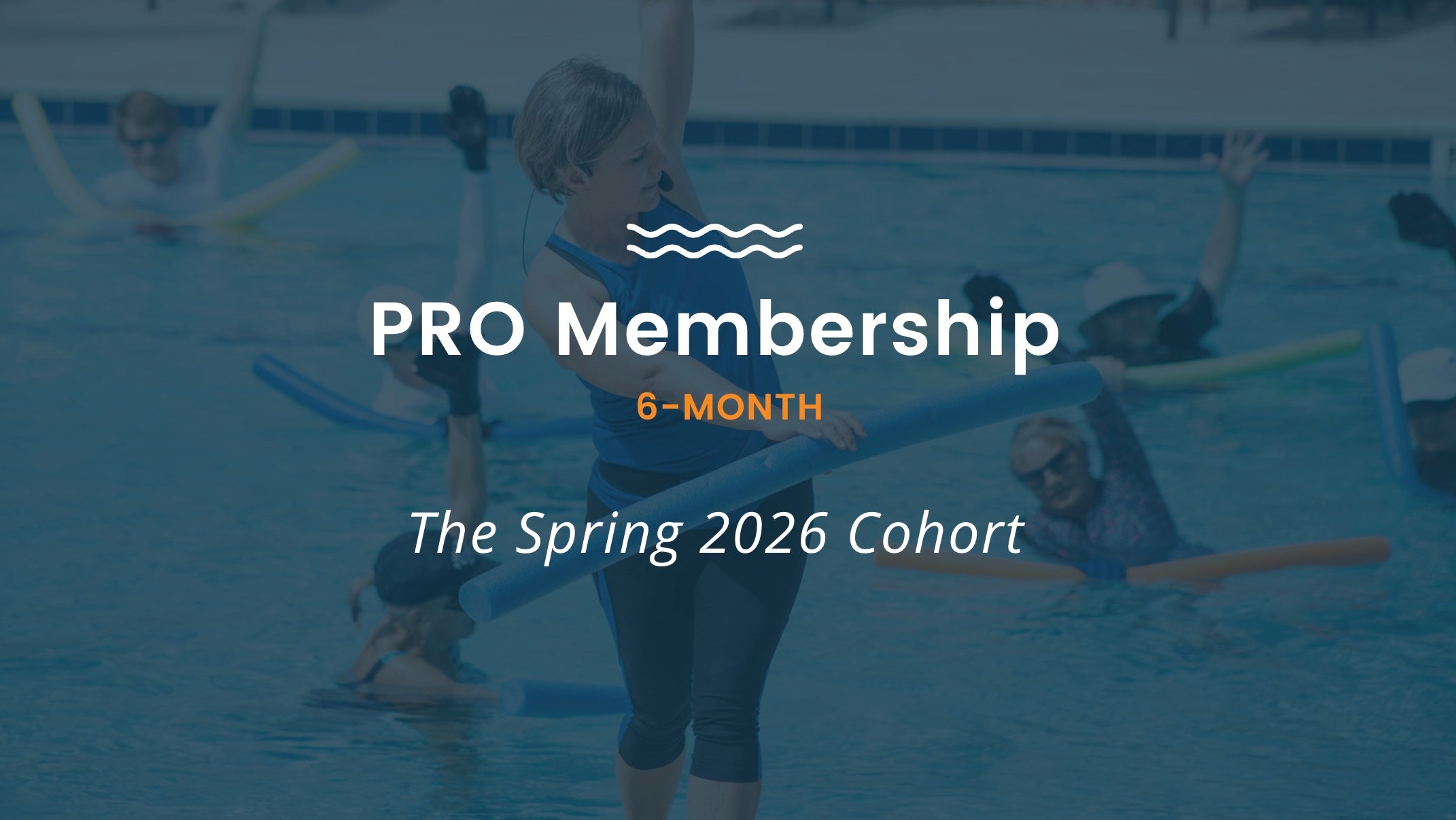 Professional 6-Month Membership