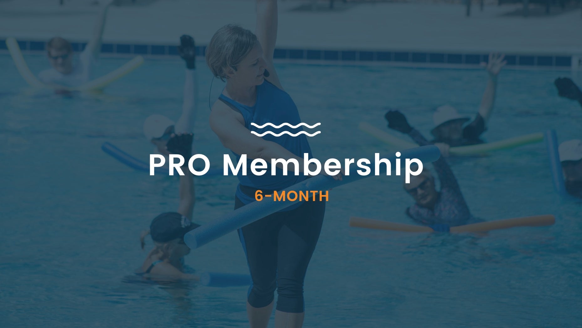 Professional 6-Month Membership