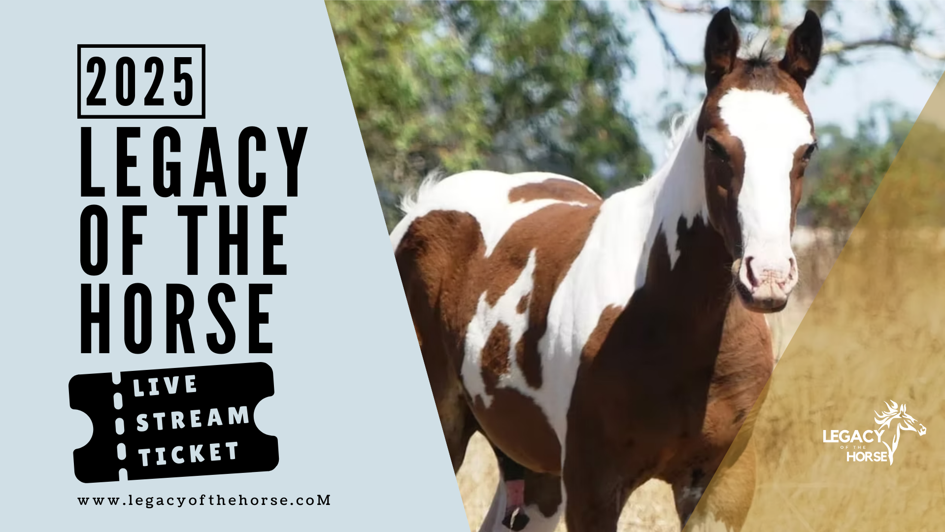 LEGACY OF THE HORSE 2025 Live Stream