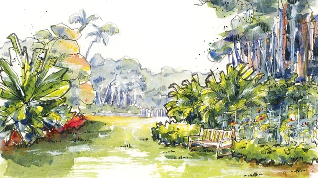 Playful Tropical Landscapes with Expressive Contour Details