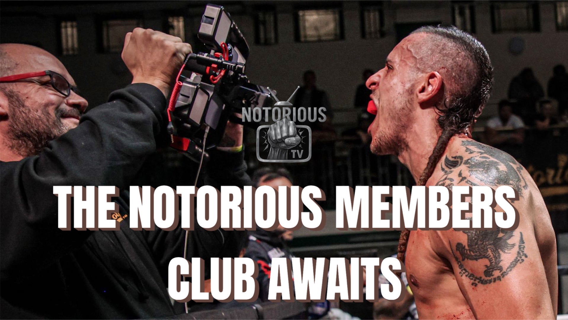 Yearly Notorious Tv Members Club