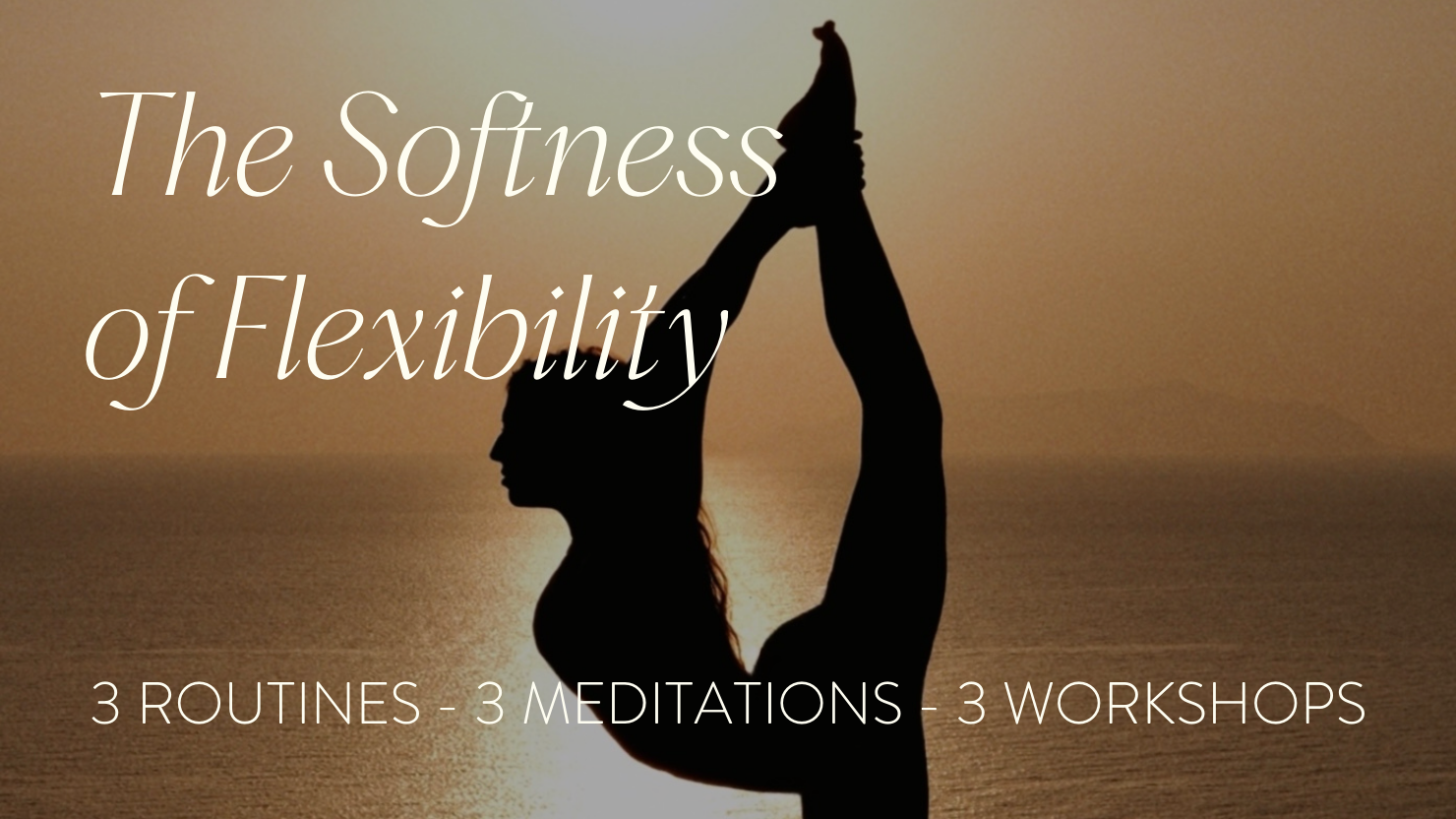 The Softness of Flexibility Program