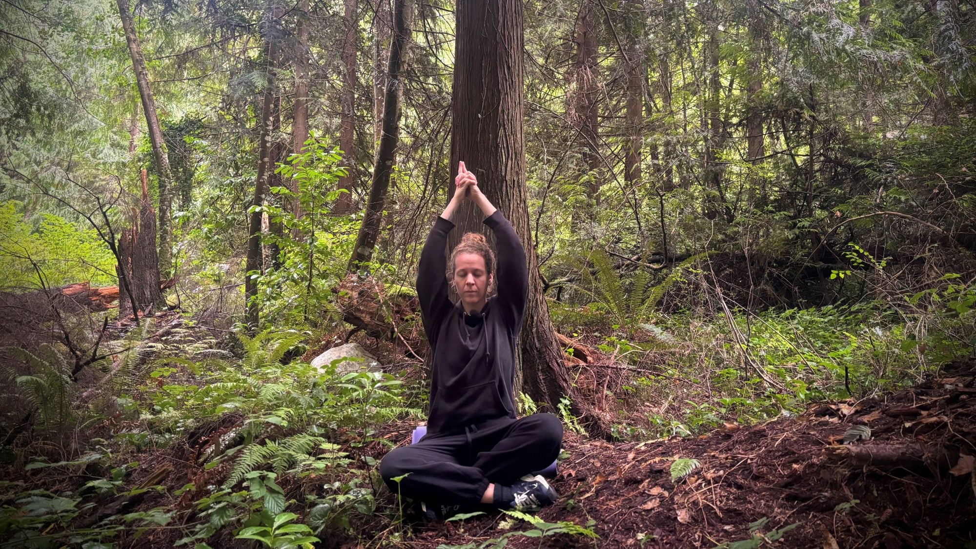 10 Class 15min Breathwork & Mudra Meditations