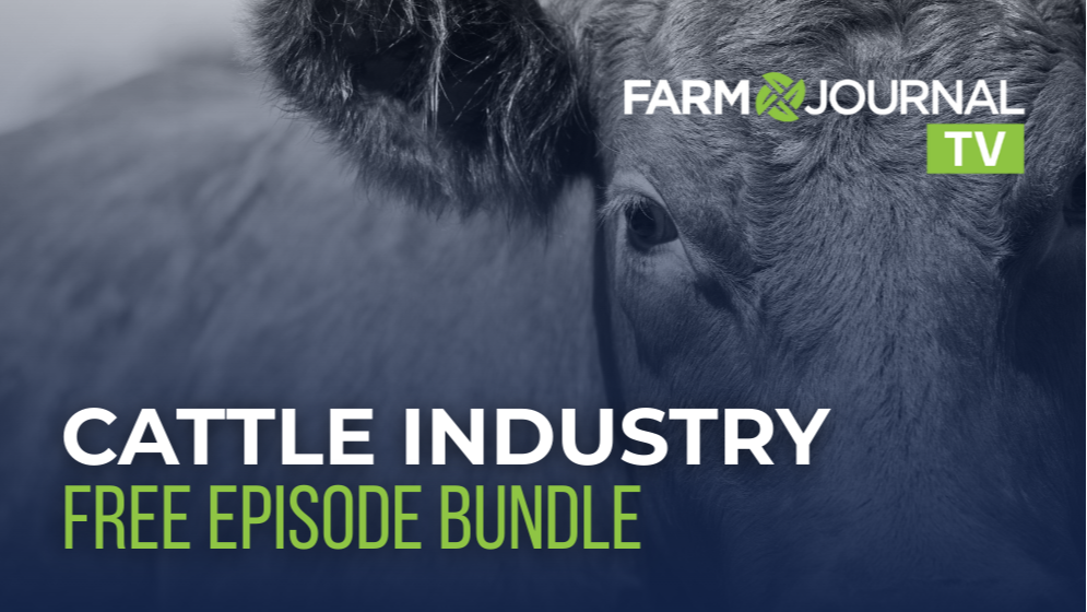 Beef Industry Free Bundle