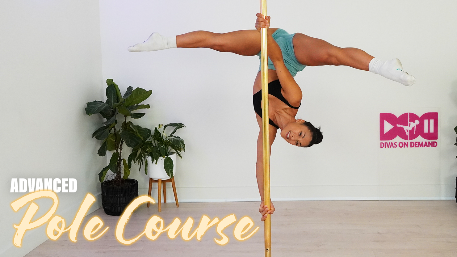 Advanced Course Bundle