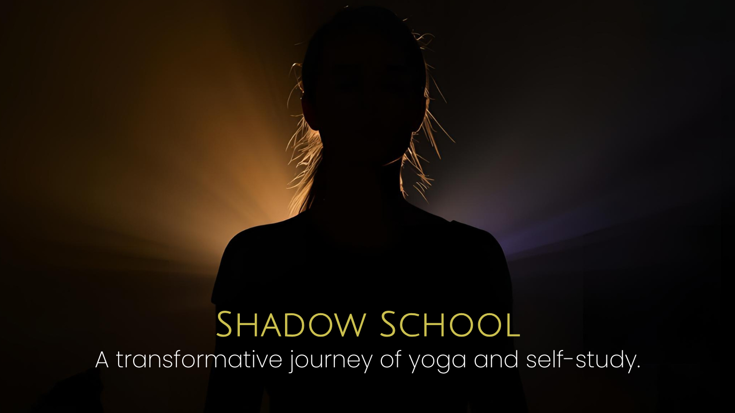 π Shadow School Yoga Program - $90 Ticket