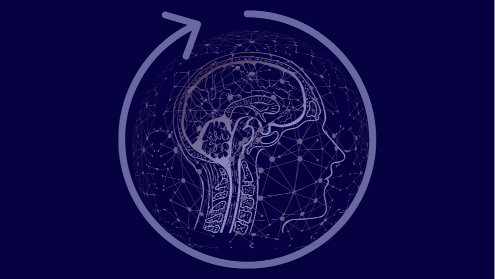 The Nervous System Reset Mini-Course