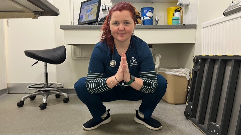 VetYogi Collective Taster Bundle - Vets