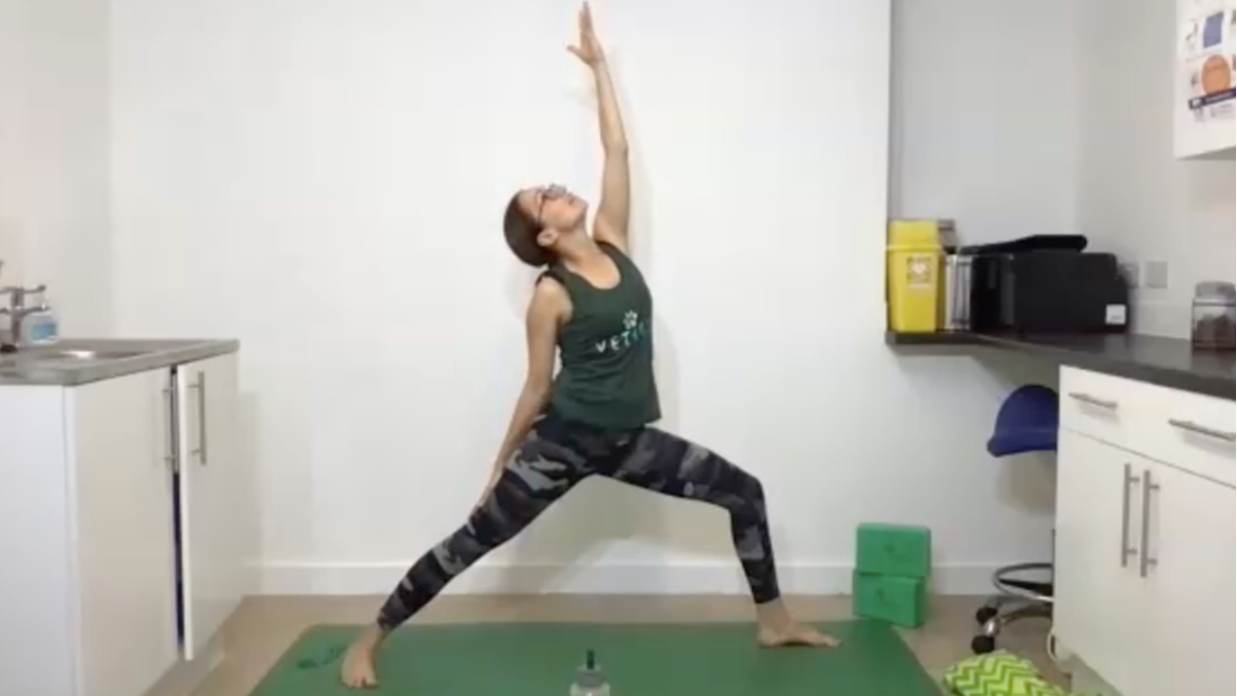 VetYogi Collective Taster Bundle - Vet Nurses/Techs/ACAs