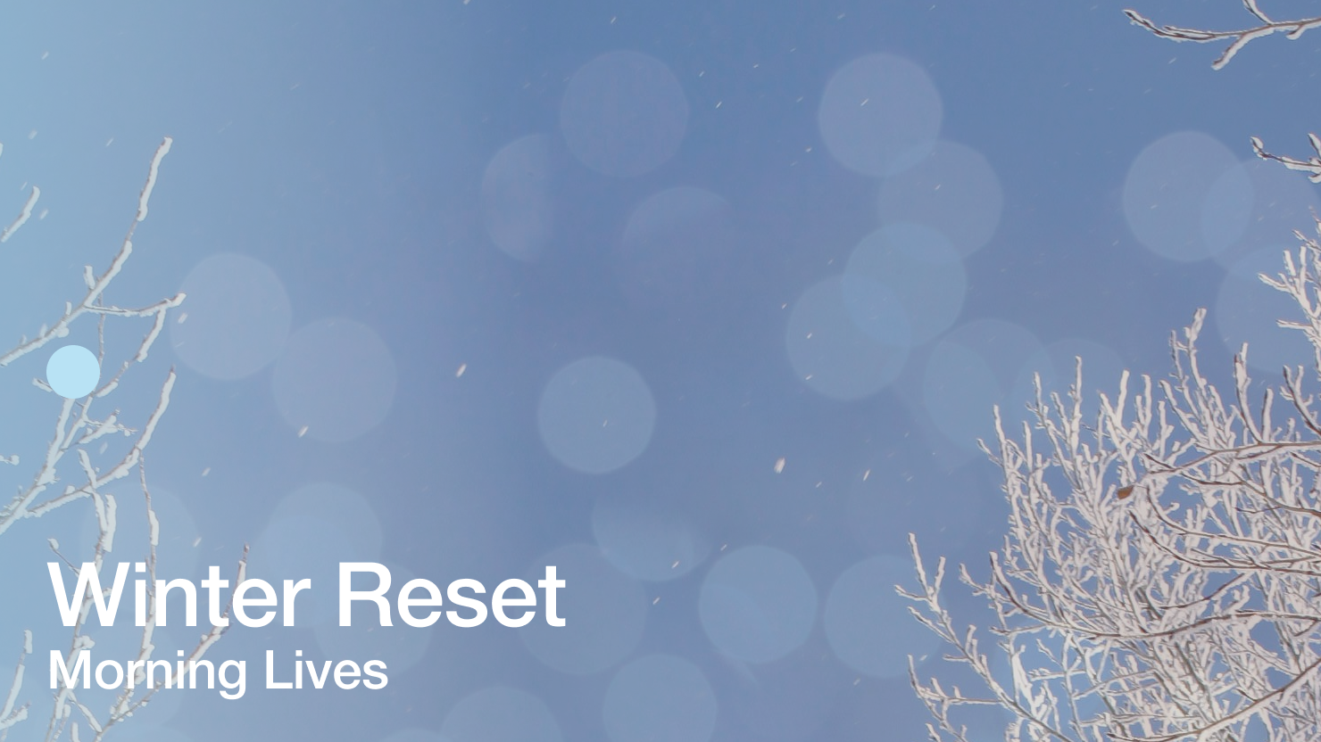 Winter Reset '25