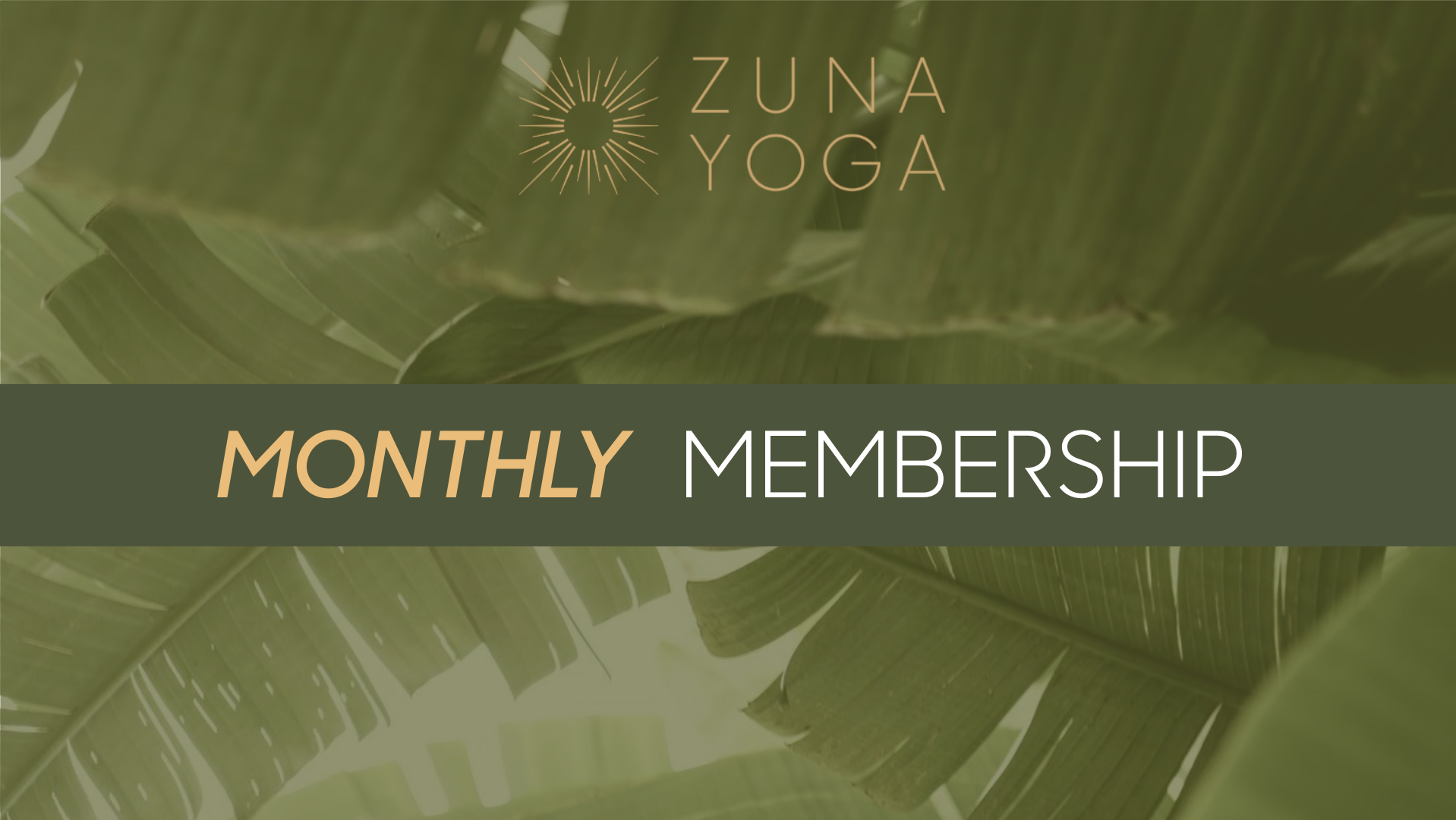 New Member - Monthly