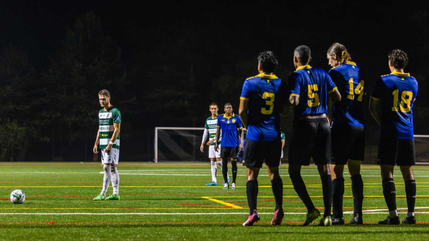 Annual Pass (Black Friday Sale)