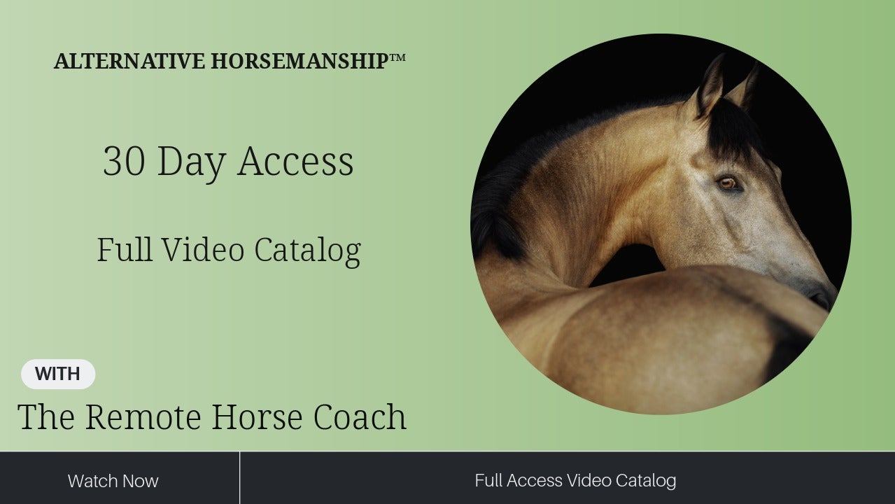 30 Day Access All Videos