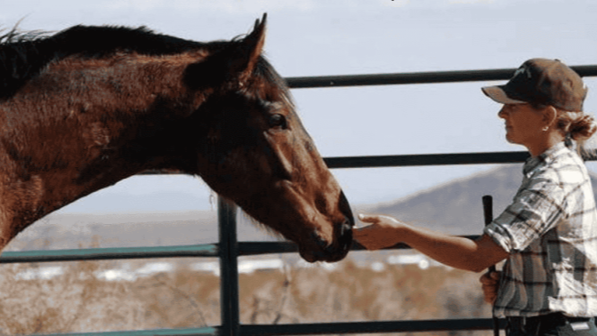 30 Day Access All Videos