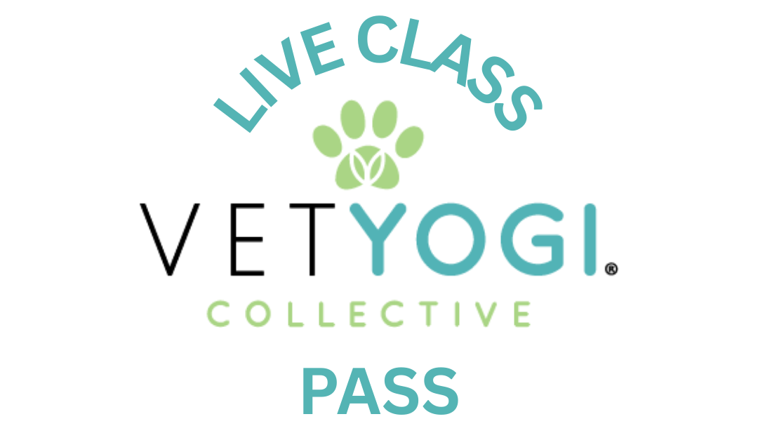 Live Class Pass