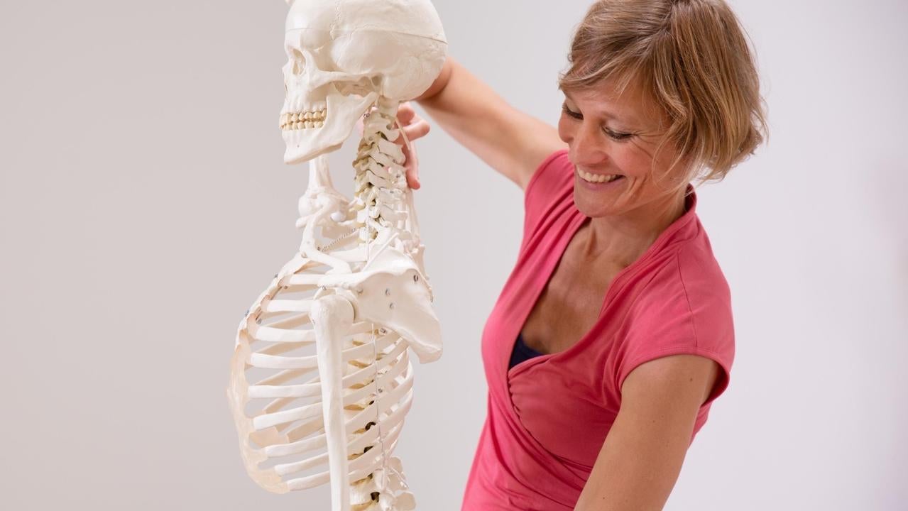 Yin Yoga and Meridians, with José de Groot 