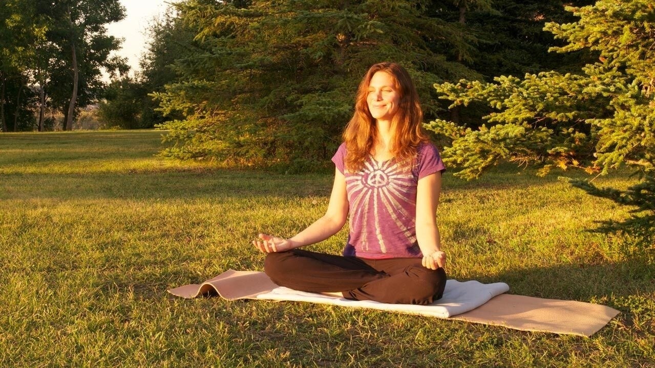 Fascia and the Nervous System - Level 2, with Christine Wushke