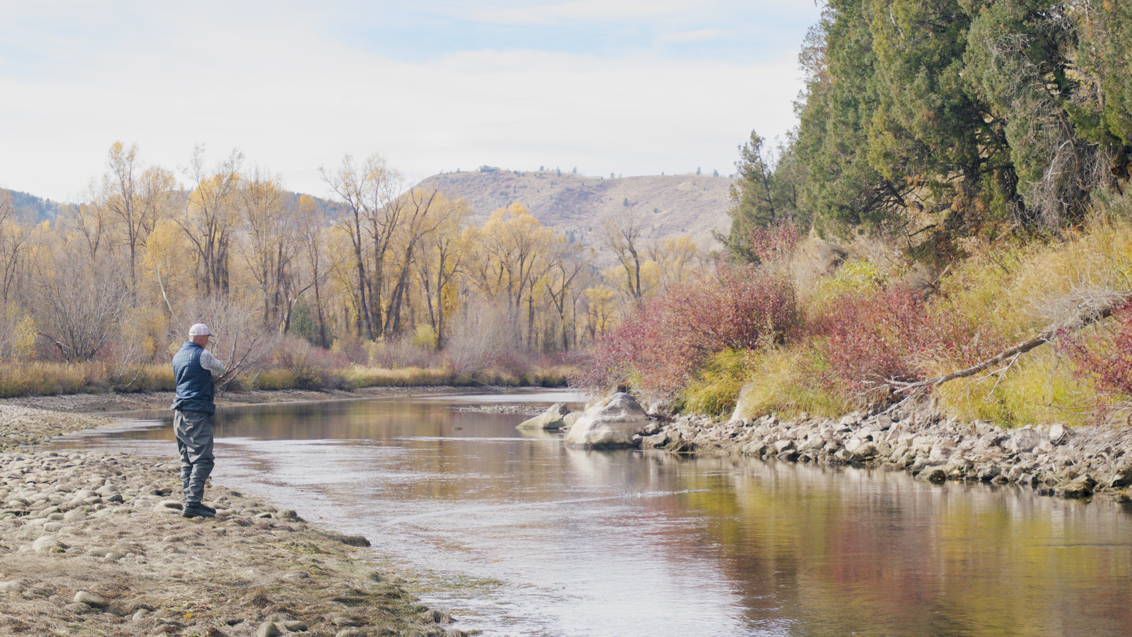 Fish Camp's Fish Tips