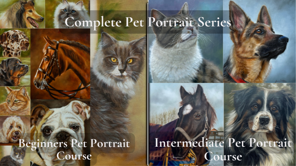 The Complete Pet Portrait Series 