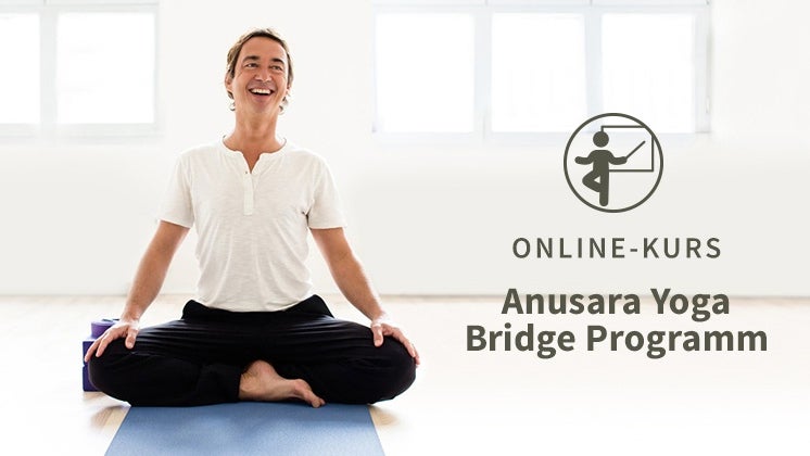 Academy: Anusara® Yoga Bridge Program