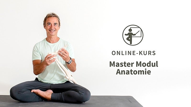 Academy: Anusara® Master Modul Anatomie