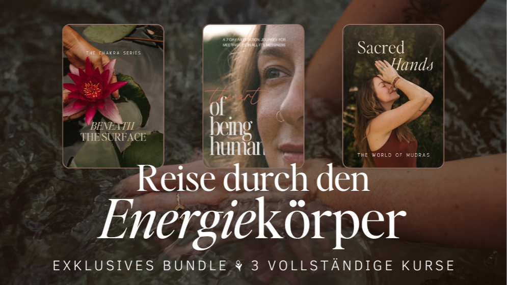 Reise durch den Energiekörper