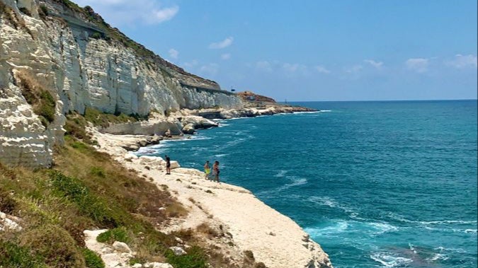 Jasmine Summer Flow 🌞