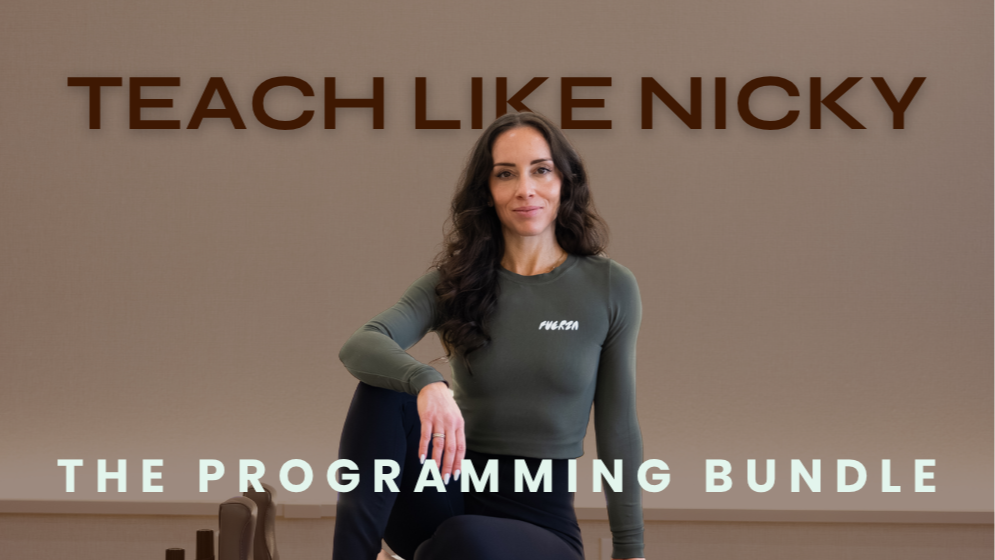 Teach Like Nicky: The Programming Bundle