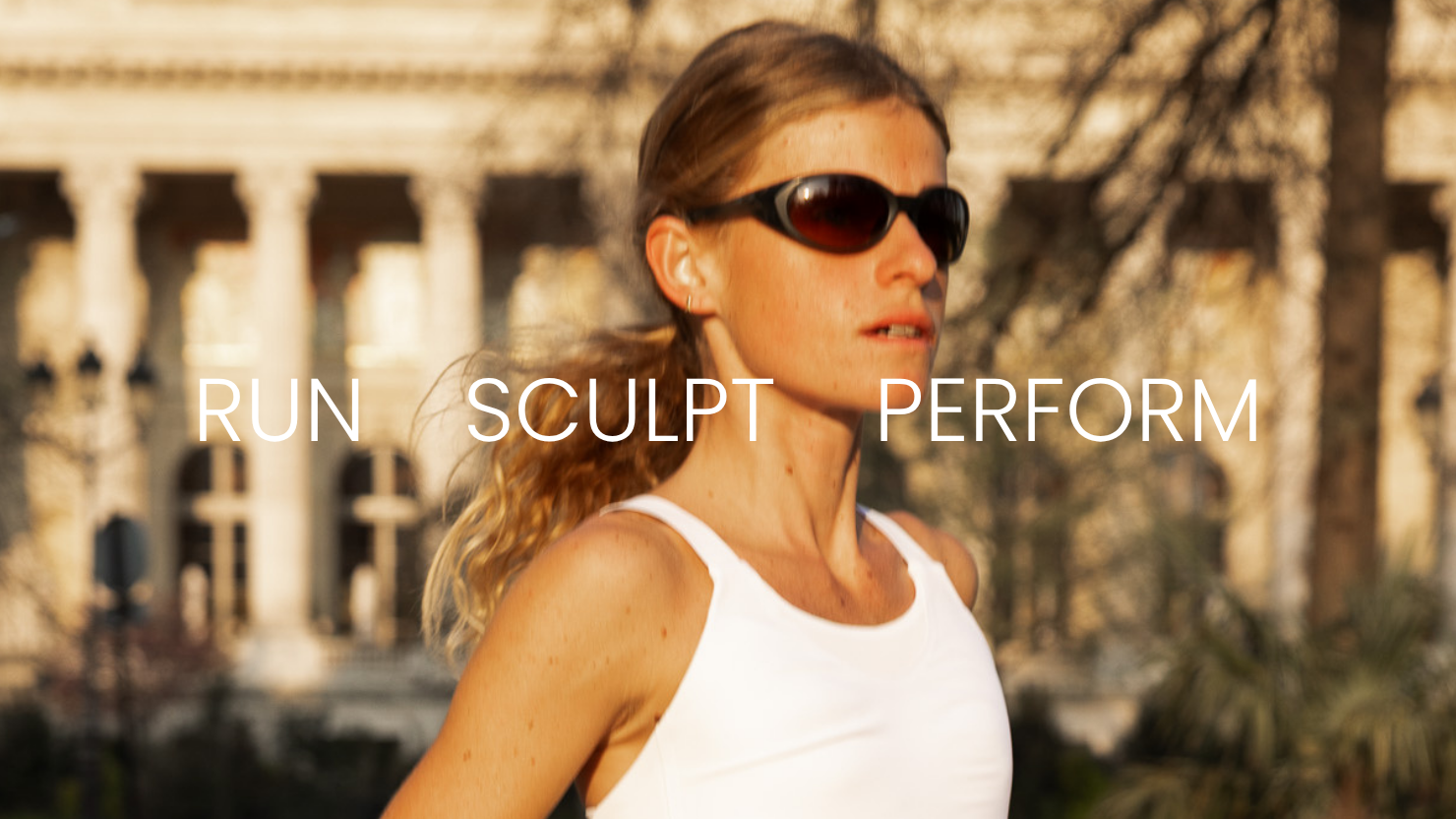 RUN SCULPT PERFORM PROGRAM