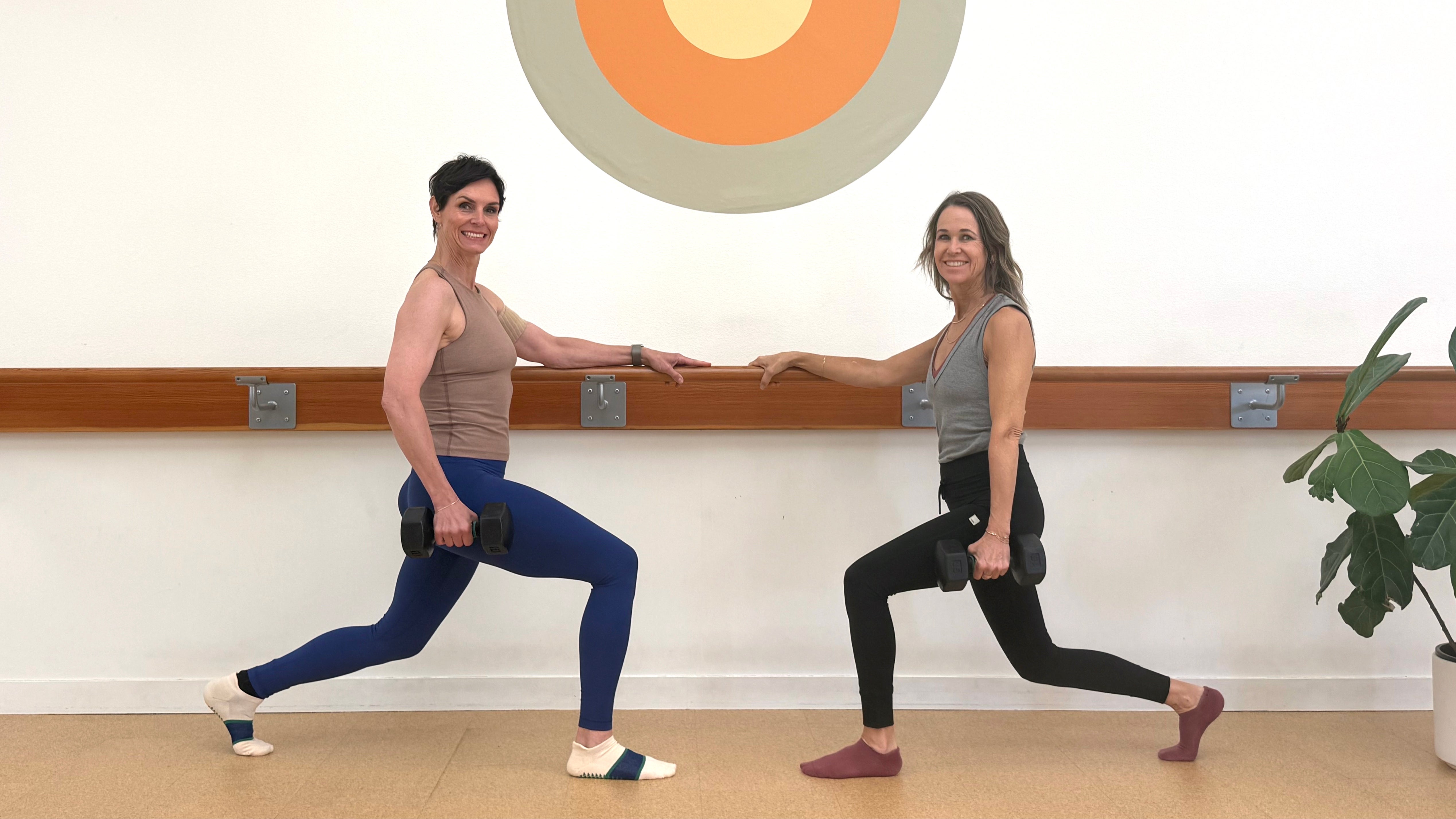 Dailey Define Bundle