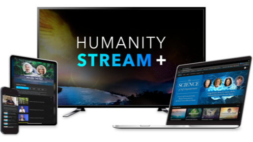 Humanity Stream Yearly
