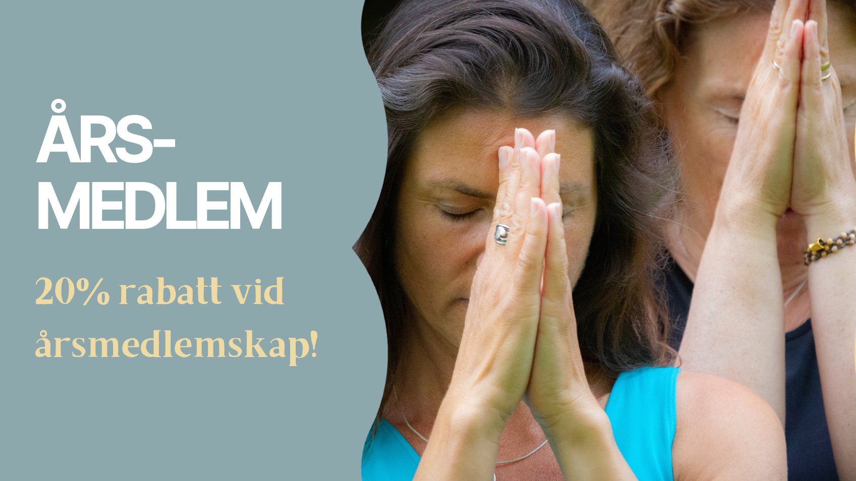 Årsmedlem