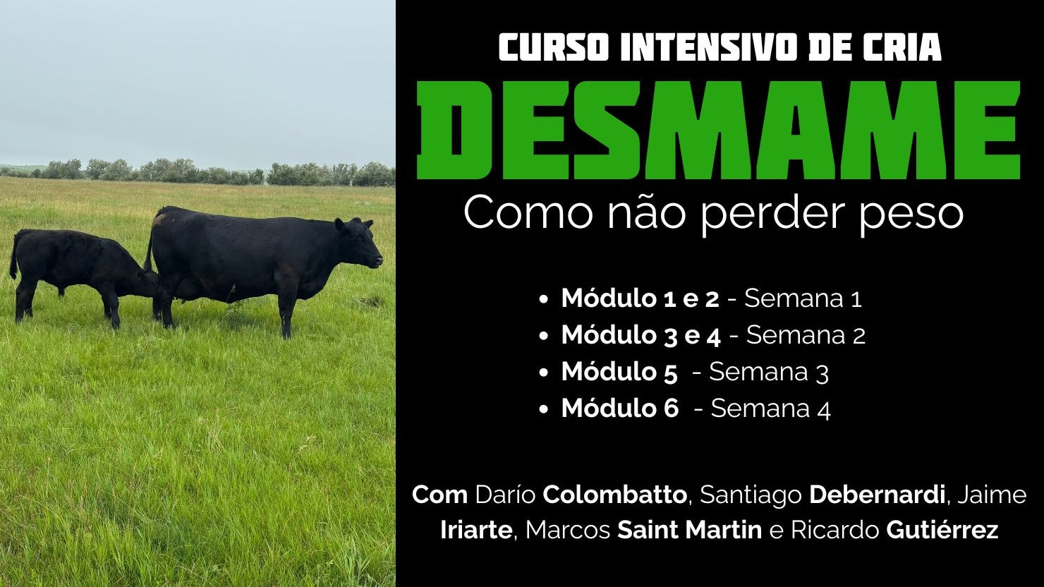 Curso de Cria | Especial em Desmame