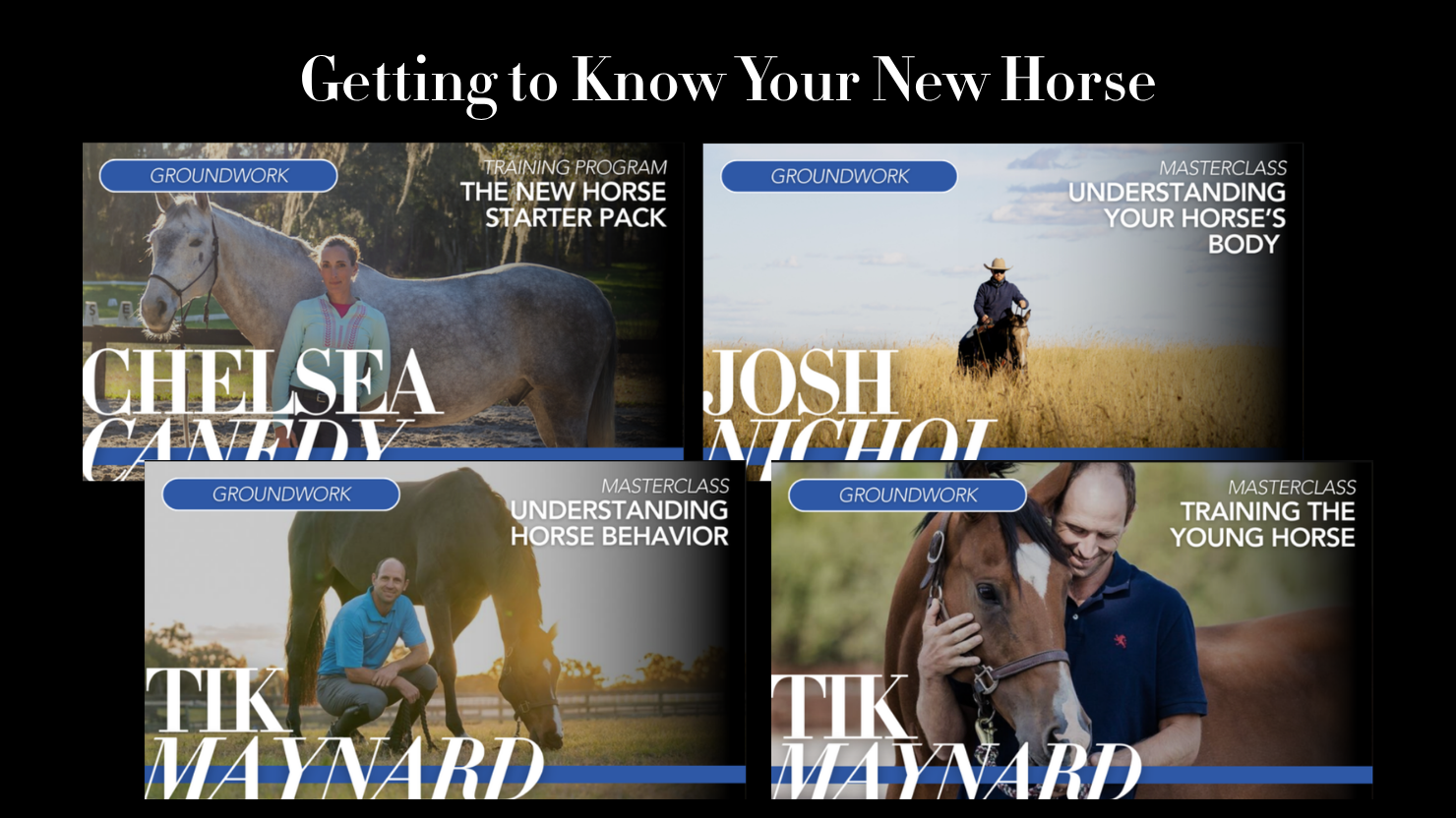 Getting to Know Your New Horse 