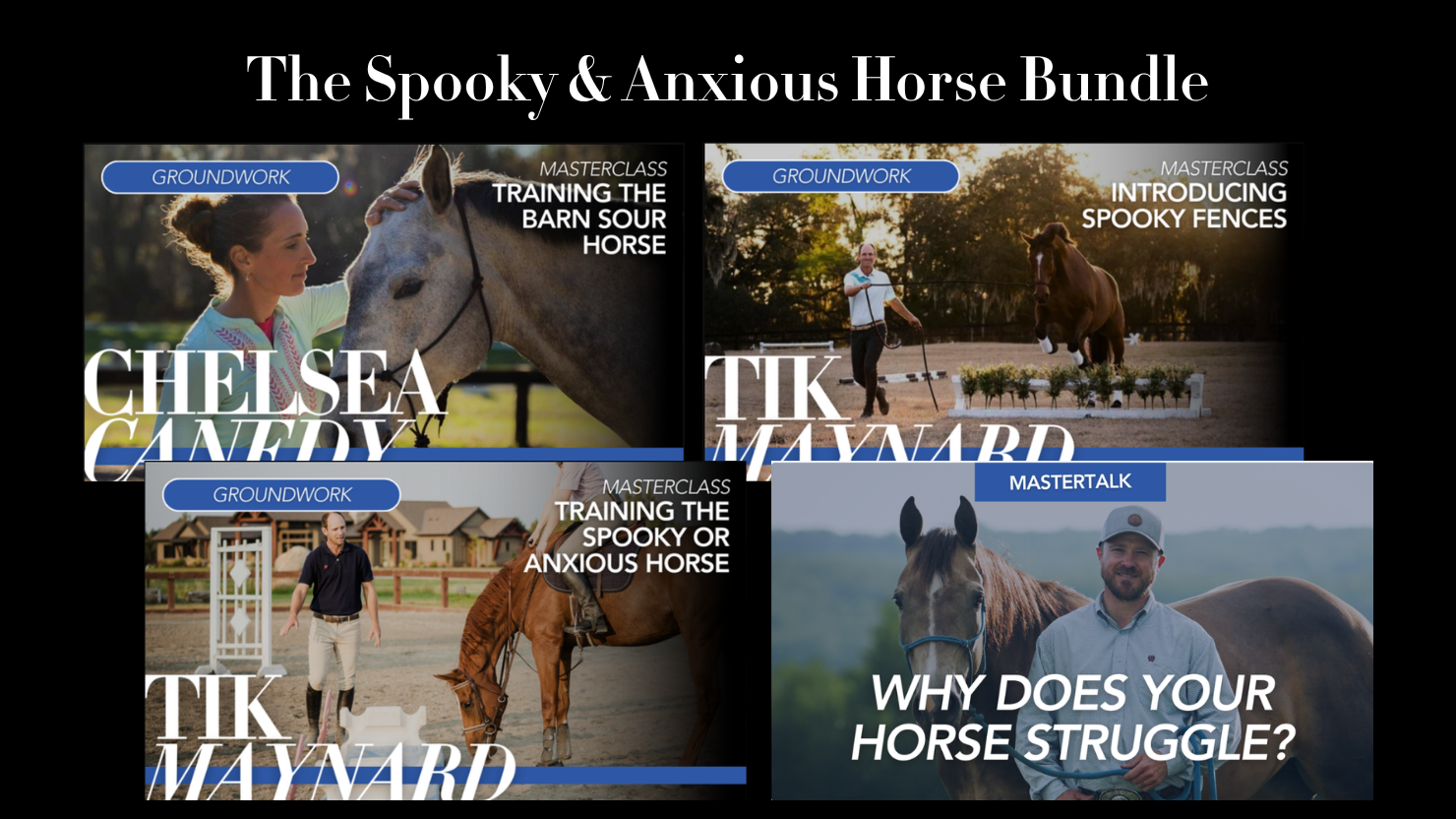 Spooky & Anxious Horse Bundle