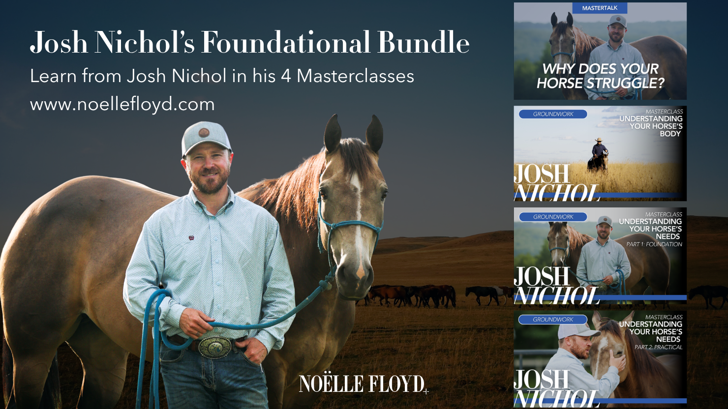 Josh Nichol's Foundational Bundle