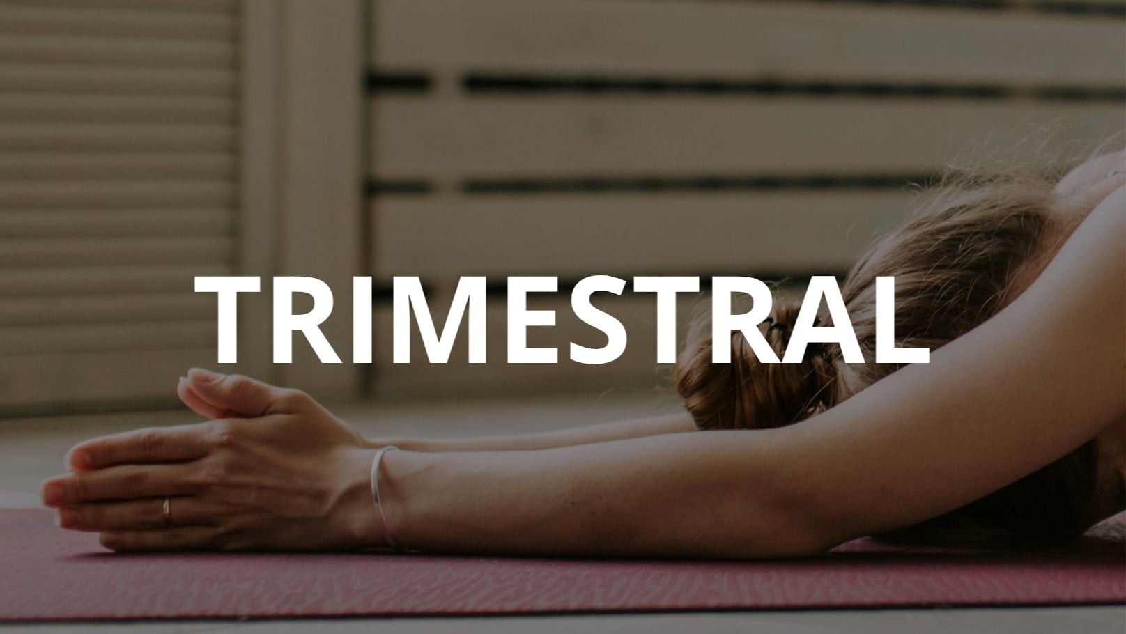 Plan Trimestral Plenamente