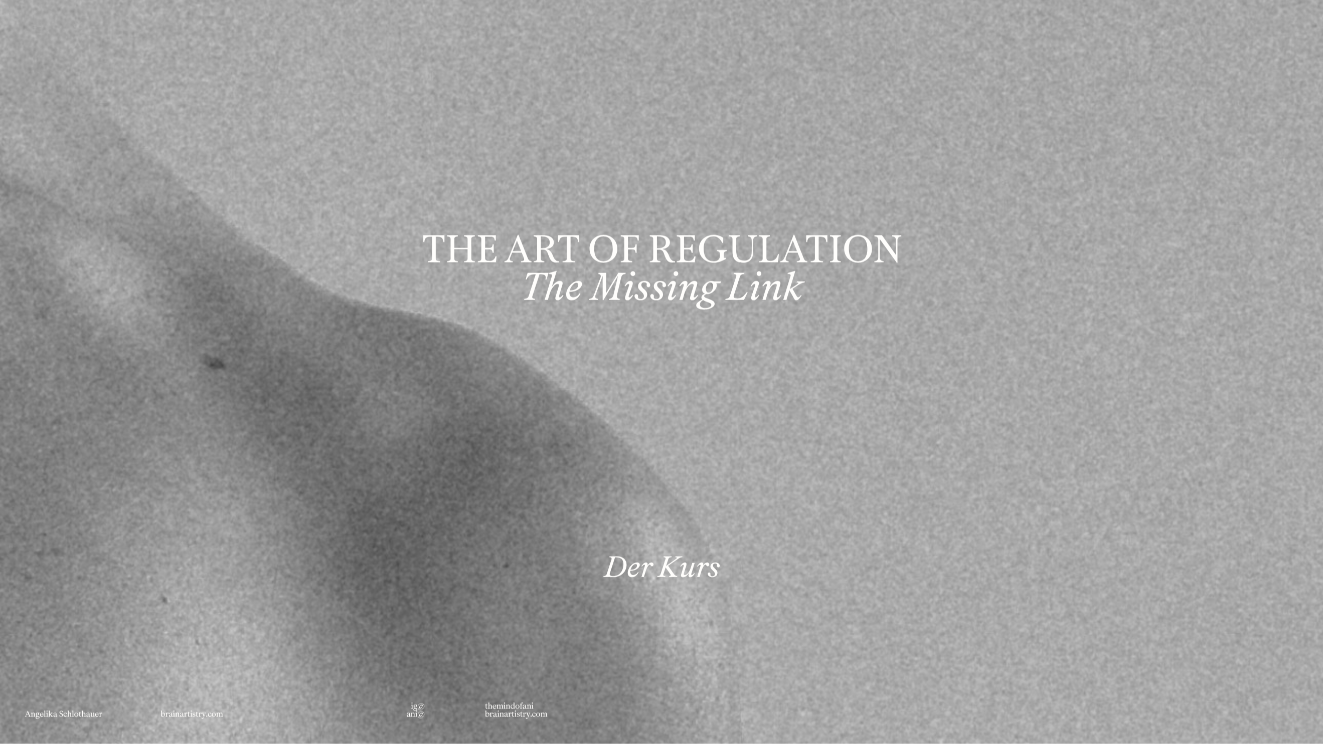 The Art of Regulation - The Missing Link