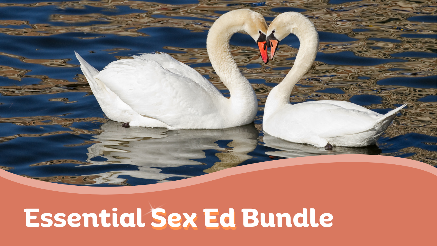 The Essential Sex Ed Bundle