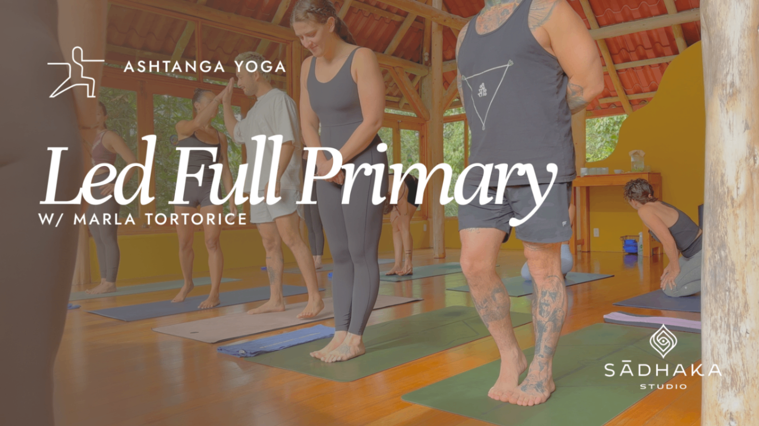 Led Full Primary with Marla Tortorice