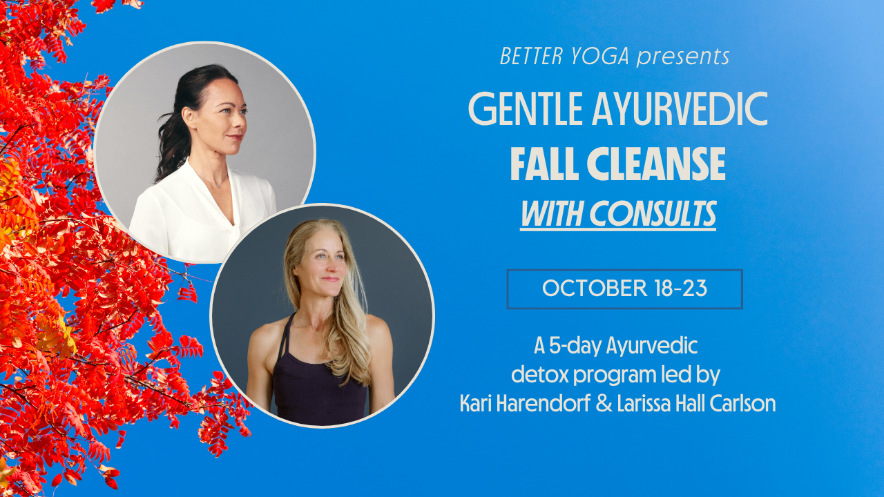 Gentle Ayurvedic Fall Cleanse with Consults