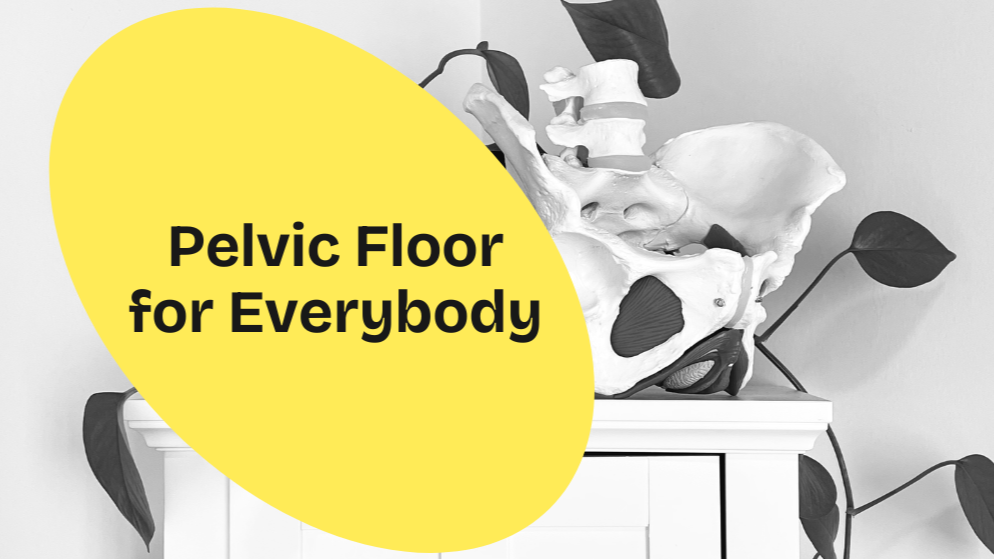 Pelvic Floor for Everybody