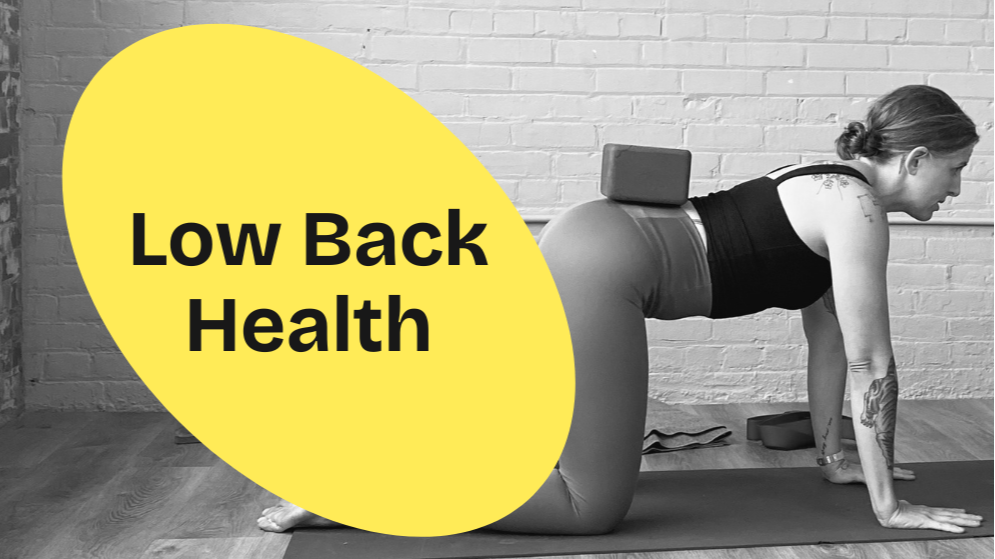 Low Back Health
