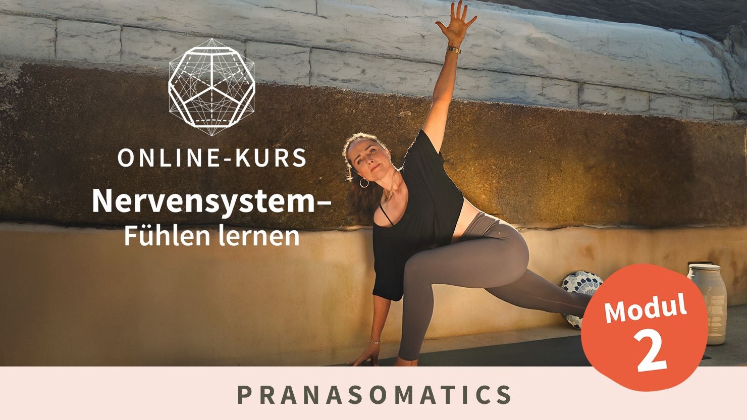 Academy: Nervensystem - Fühlen lernen - Modul 2
